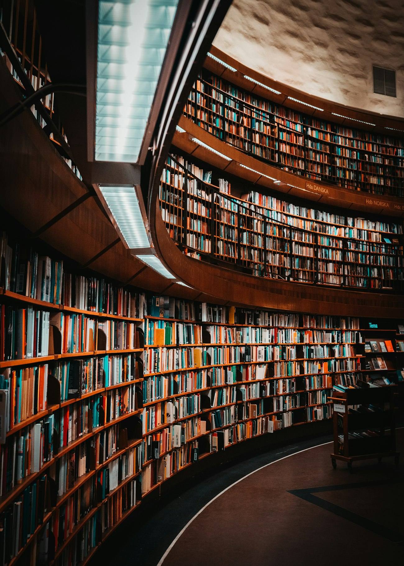 Galerie d'une bibliothèque juridique aux rayonnages de bois courbes garnis d'ouvrages reliés